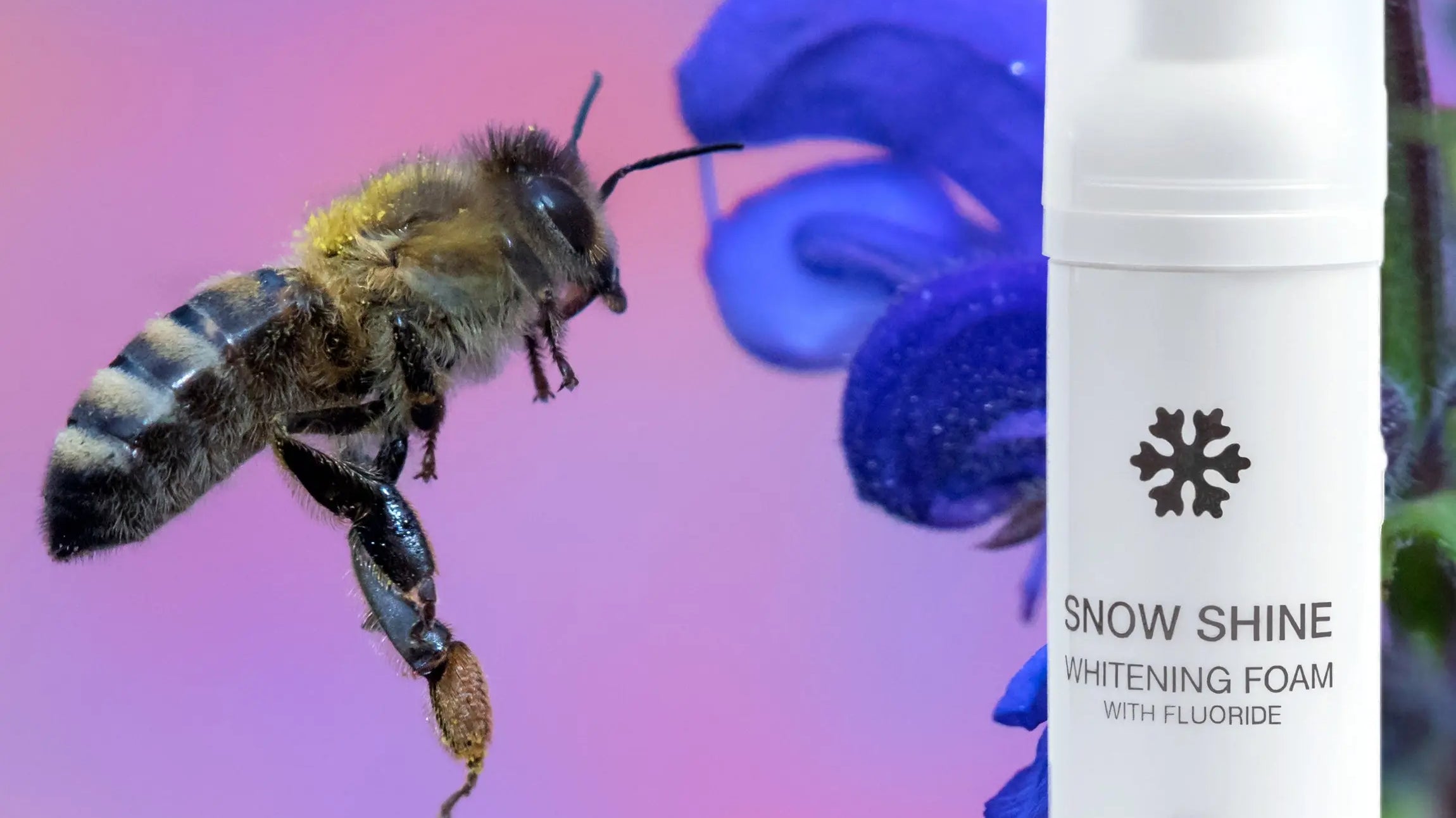 Lass-uns-über-Propolis-reden Snow Pearl GmbH