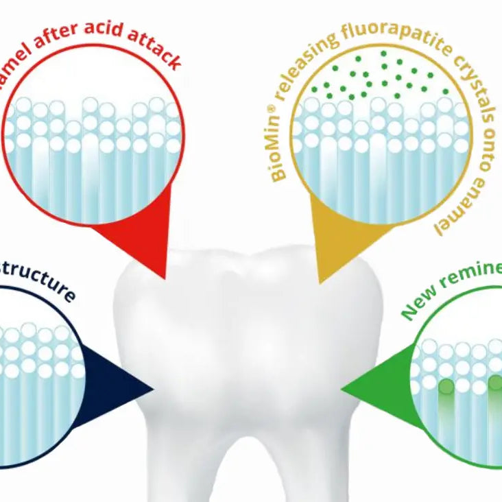 Calcium-Natrium-Fluorophosphosilicat-remineralisiert-den-Zahnschmelz-effektiver-als-herkömmliche-Fluoridzahnpasta Snow Pearl GmbH