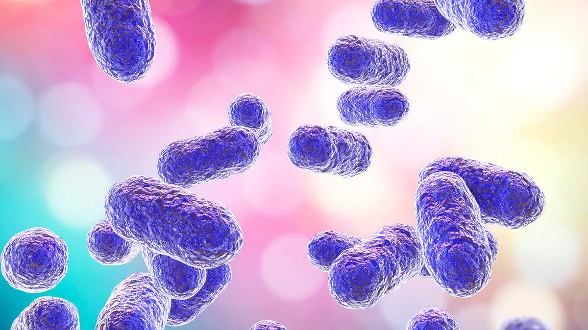 Was-ist-Parodontose Snow Pearl GmbH