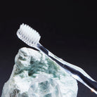 Ultra Soft schwarze Handzahnbürste von Snow Pearl für die tägliche Zahnpflege und Mundhygiene.